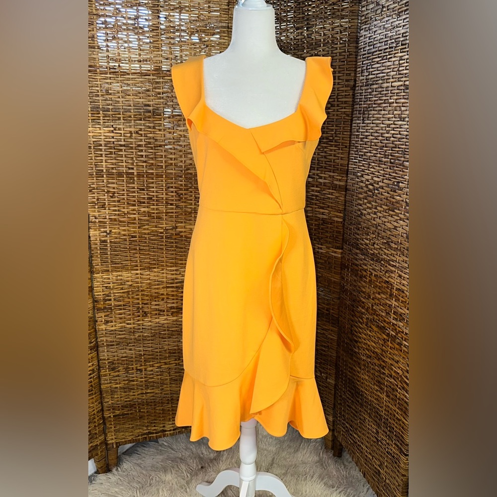 NWT Laundry by Shelli Segal Wrap Mini Dress (10)